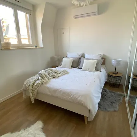 L'elegant: 80m2 Vue Sur Vignoble Au Centre D'epernay!! *